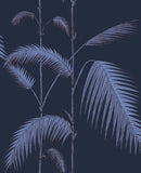 112/2008 - Palm Leaves 1