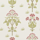 Meadow Sweet - 210347