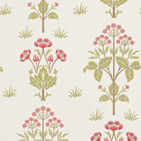 Meadow Sweet - 210347