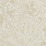 Artichoke - 210353