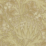Artichoke - 210354