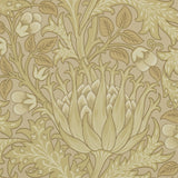 Artichoke - 210354