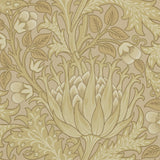 Artichoke - 210354