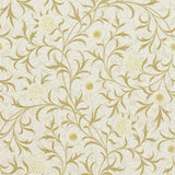 Scroll - 210363
