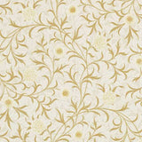 Scroll - 210363