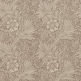 Marigold - 210366