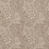 Marigold - 210366