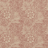 Marigold - 210367