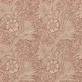 Marigold - 210367