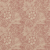 Marigold - 210367