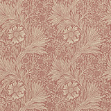 Marigold - 210367