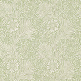 Marigold - 210369
