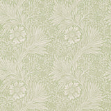 Marigold - 210369