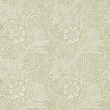 Marigold - 210369