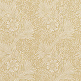 Marigold - 210370