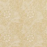 Marigold - 210370