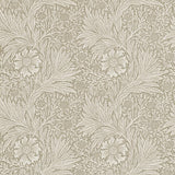 Marigold - 210371