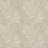 Marigold - 210371