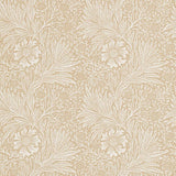 Marigold - 210372
