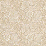 Marigold - 210372