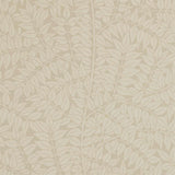 Branch - 210377