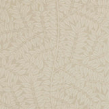 Branch - 210377