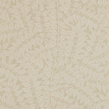 Branch - 210377