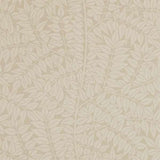 Branch - 210377
