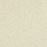 Branch - 210378