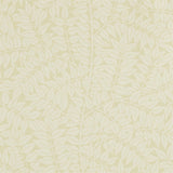 Branch - 210378