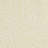 Branch - 210378