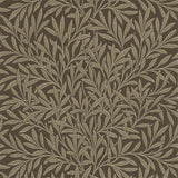 Willow - 210380