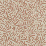 Willow - 210381