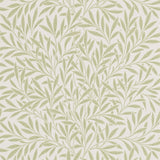 Willow - 210383