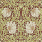 Pimpernel - 210386