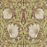 Pimpernel - 210386
