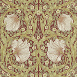 Pimpernel - 210386
