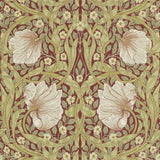 Pimpernel - 210386