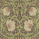 Pimpernel - 210387