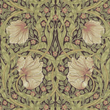 Pimpernel - 210387