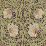 Pimpernel - 210387