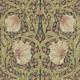 Pimpernel - 210387
