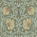 Pimpernel - 210388