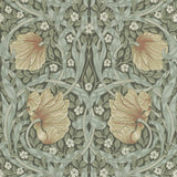 Pimpernel - 210388