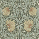 Pimpernel - 210388