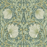 Pimpernel - 210389