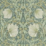 Pimpernel - 210389