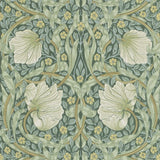 Pimpernel - 210389