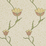 Garden Tulip - 210392