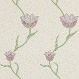 Garden Tulip - 210393